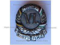 Austria Hungary WWI Cap Badge KuK VI Korps Arz Army Corps General von Straussenburg
