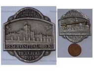 Austria Hungary WWI Cap Badge Reservespital Belgrad Brcko Reserve Hospital Belgrade 1915