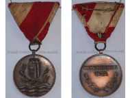 Austria Danube River Commemorative Medal for the Anti-flood Operations 1954 2nd Austrian Republic
