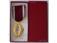 Belgium Order of the Crown Gold Palms 1st Class by Degreef Boxed