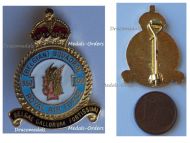 Belgium RBAF Badge 350th Squadron Royal Belgian Air Force