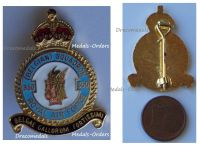 Belgium RBAF Badge 350th Squadron Royal Belgian Air Force