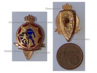Belgium WWII Lapel Pin Belgian Army Civil Defense Badge by DeGreef