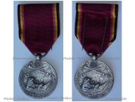 Belgium WWI Medal for the Belgian Civil Prisoners Conscripted for Forced Labor with the German Civil Worker Battalions ZAB FND 1914 1918