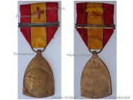 Belgium WWI Commemorative Medal 1914 1918 with 2 Bars (Gold, Silver) & Red Cross Device by De Bremaecker