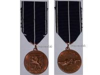 Finland WW2 Continuation War Commemorative Military Medal  1941 1944 WWII Finnish Decoration Award