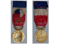 France Trade Labor Gold Medal palms Civil 1966 Decoration French Award 30 years service 5th Republic