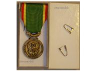 France Society Encouragement Devotion Service Medal Bronze Civil French Decoration Award 2007 boxed