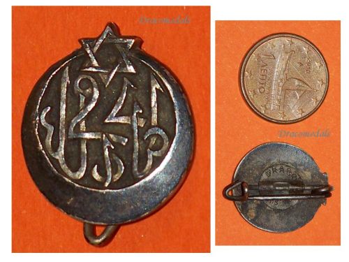 France WWI 24th Tunisian Rifle Regiment Badge by Drago