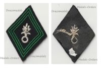 France Foreign Legion Cavalry Tank Troops Patch Model 1945