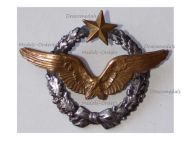 France WWI Pilot Wings Badge French Air Force 1914 1918 Numbered