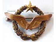 France WWII Pilot Wings Badge French Air Force 1939 1940 Numbered