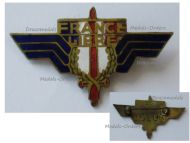 France WWII Free French Forces Wings FFL Badge British Made Numbered