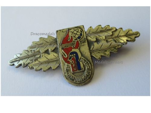 Germany Fireman Badge of the German Youth Fire Department DJF 1964