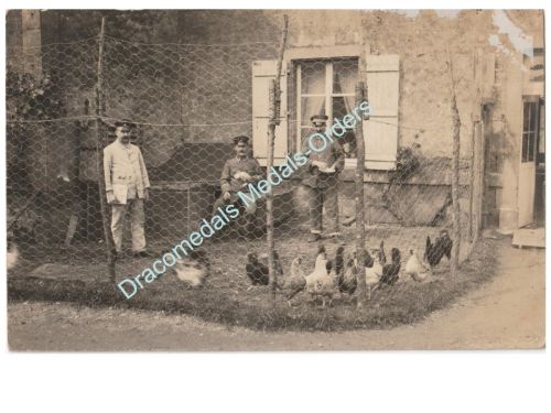 Germany WWI Photo German Soldiers Tending to Chickens