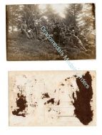 Germany WWI Photo U-boat Submarine Sailor, U-boots Halbflotilla & Soldiers, 1914 1918