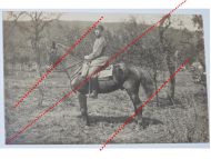 Germany WWI Photo Cavalry Wachtmeister (Sergeant Major) on Horseback