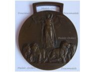 Italy WWI Victory Medal by Johnson Official Type 2