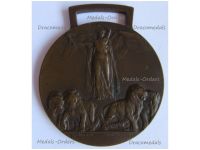 Italy WWI Victory Medal by Johnson Official Type 2