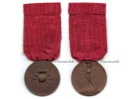 Italy WWI Commemorative Medal of the Alpine Engineers Tenace Infaticabile Modesta (Tenacious Tireless Modest) 1925