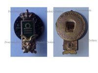   Italy WWII Officer Rank Insignia Badge of Alpini Captain (Alpine Mountain Infantry Troops)