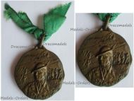 Italy WWII Medal of the 1st Alpine Division Taurinense 1940 1943