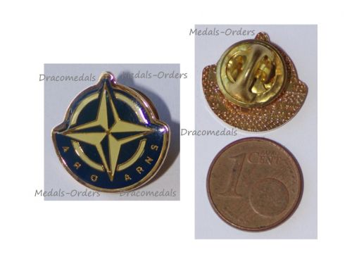 NATO ARO ARNS Badge Lapel Pin of the International Association Former or Retired Civilian Staff